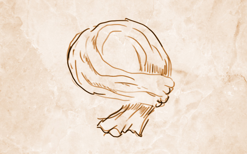 Zeichnerische Darstellung einer römischen Focale